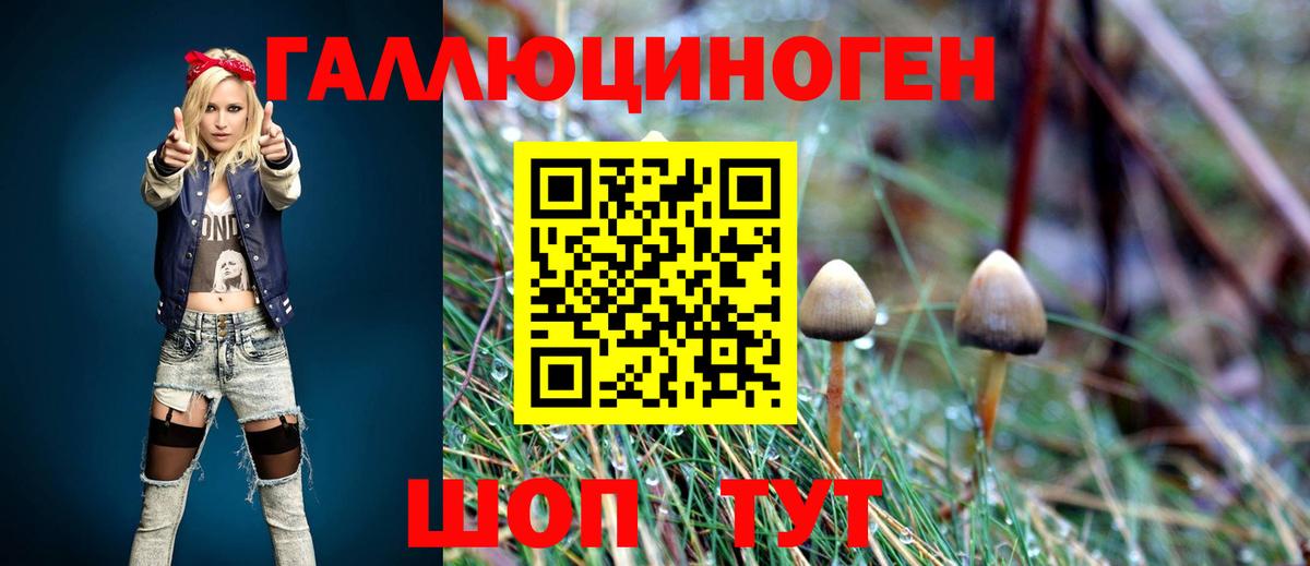 Кудрово  Псилоцибиновые грибы Psilocybine cubensis  купить наркотик  Вход с VPN  Галлюциногенные грибы мухоморы 
