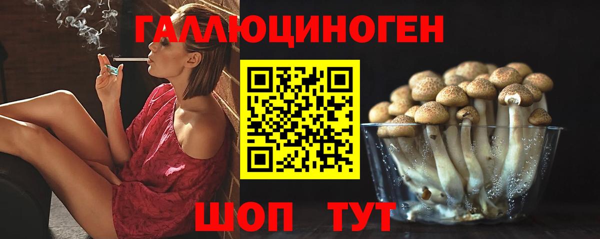 Псилоцибиновые грибы Magic Shrooms Кудрово